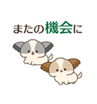 シーズーたちの飛び出す敬語スタンプ（個別スタンプ：14）