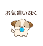 シーズーたちの飛び出す敬語スタンプ（個別スタンプ：15）