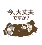 シーズーたちの飛び出す敬語スタンプ（個別スタンプ：16）