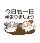 シーズーたちの飛び出す敬語スタンプ（個別スタンプ：19）