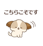 シーズーたちの飛び出す敬語スタンプ（個別スタンプ：24）