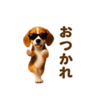 踊る！ビーグル2（個別スタンプ：4）
