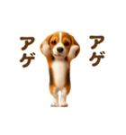 踊る！ビーグル2（個別スタンプ：14）
