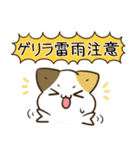 毎日五月病なねこたち 秋スタンプ3（個別スタンプ：18）