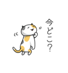 ムサ猫5（個別スタンプ：15）