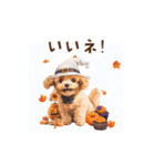 動く♪秋のほっこりトイプードル（個別スタンプ：6）