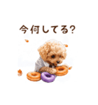 動く♪秋のほっこりトイプードル（個別スタンプ：9）