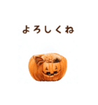 動く♪秋のほっこりトイプードル（個別スタンプ：10）