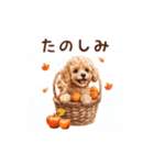 動く♪秋のほっこりトイプードル（個別スタンプ：11）