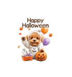 動く♪秋のほっこりトイプードル（個別スタンプ：21）