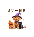 動く♪秋のほっこりトイプードル（個別スタンプ：22）