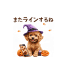 動く♪秋のほっこりトイプードル（個別スタンプ：24）