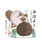 ゴージャス猫の日常使える言葉（個別スタンプ：1）
