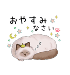 ゴージャス猫の日常使える言葉（個別スタンプ：4）