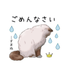 ゴージャス猫の日常使える言葉（個別スタンプ：8）