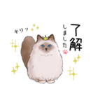 ゴージャス猫の日常使える言葉（個別スタンプ：9）