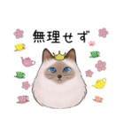 ゴージャス猫の日常使える言葉（個別スタンプ：22）