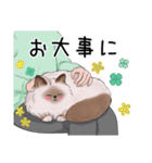 ゴージャス猫の日常使える言葉（個別スタンプ：23）