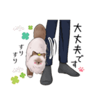 ゴージャス猫の日常使える言葉（個別スタンプ：24）
