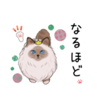 ゴージャス猫の日常使える言葉（個別スタンプ：25）
