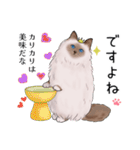 ゴージャス猫の日常使える言葉（個別スタンプ：26）