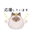 ゴージャス猫の日常使える言葉（個別スタンプ：27）