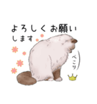 ゴージャス猫の日常使える言葉（個別スタンプ：28）