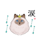 ゴージャス猫の日常使える言葉（個別スタンプ：33）