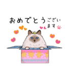 ゴージャス猫の日常使える言葉（個別スタンプ：38）