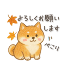 柴犬いっぱい♡豆しば♡秋＆冬（個別スタンプ：10）