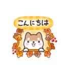 【秋】挨拶お返事✴︎まるまる豆柴スタンプ（個別スタンプ：2）