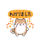 【秋】挨拶お返事✴︎まるまる豆柴スタンプ（個別スタンプ：9）