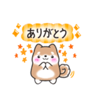 【秋】挨拶お返事✴︎まるまる豆柴スタンプ（個別スタンプ：10）