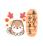 【秋】挨拶お返事✴︎まるまる豆柴スタンプ（個別スタンプ：12）
