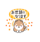 【秋】挨拶お返事✴︎まるまる豆柴スタンプ（個別スタンプ：14）