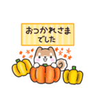【秋】挨拶お返事✴︎まるまる豆柴スタンプ（個別スタンプ：19）