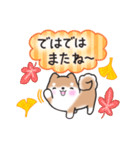 【秋】挨拶お返事✴︎まるまる豆柴スタンプ（個別スタンプ：20）
