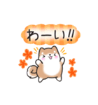 【秋】挨拶お返事✴︎まるまる豆柴スタンプ（個別スタンプ：24）