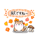 【秋】挨拶お返事✴︎まるまる豆柴スタンプ（個別スタンプ：25）