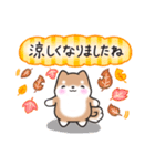 【秋】挨拶お返事✴︎まるまる豆柴スタンプ（個別スタンプ：26）
