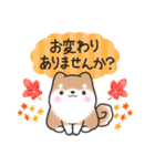 【秋】挨拶お返事✴︎まるまる豆柴スタンプ（個別スタンプ：27）
