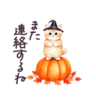秋冬 毎日使える コスにゃんず 日常（個別スタンプ：37）
