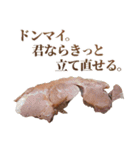全てを肯定するチャーシュー（個別スタンプ：13）