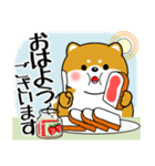 飛び出す！超ぽっちゃり豆柴の挨拶（個別スタンプ：1）