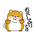飛び出す！超ぽっちゃり豆柴の挨拶（個別スタンプ：2）