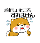 飛び出す！超ぽっちゃり豆柴の挨拶（個別スタンプ：5）
