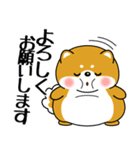 飛び出す！超ぽっちゃり豆柴の挨拶（個別スタンプ：6）