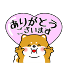 飛び出す！超ぽっちゃり豆柴の挨拶（個別スタンプ：8）
