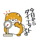 飛び出す！超ぽっちゃり豆柴の挨拶（個別スタンプ：15）