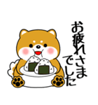 飛び出す！超ぽっちゃり豆柴の挨拶（個別スタンプ：17）